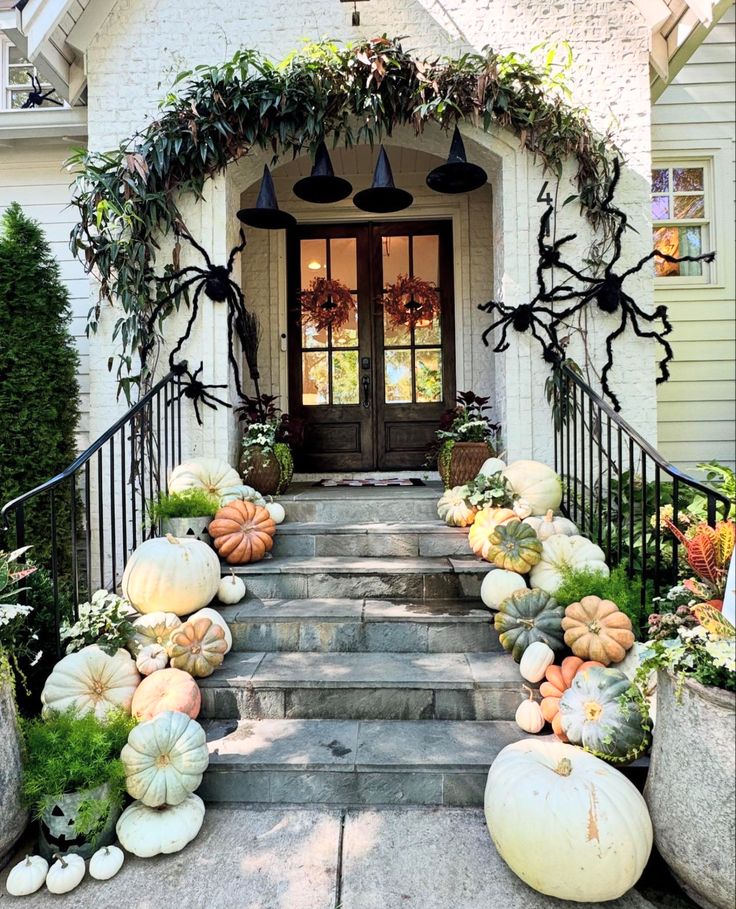 Neutral Lover Package