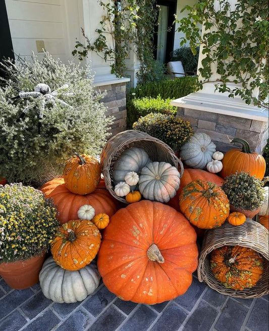 On a budget but don't have the time package