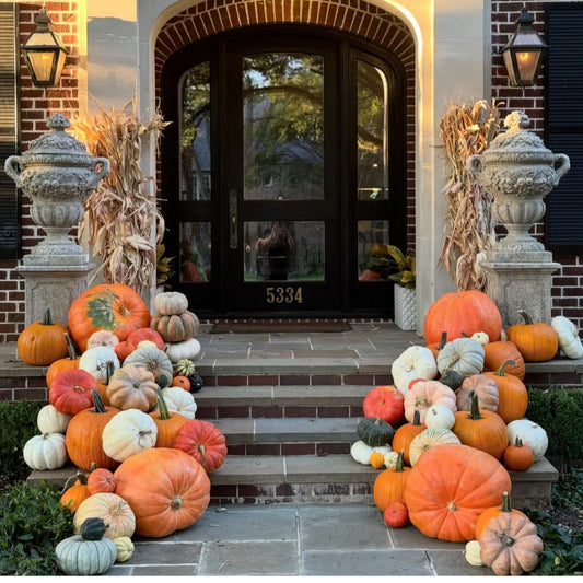 Over the top Package!